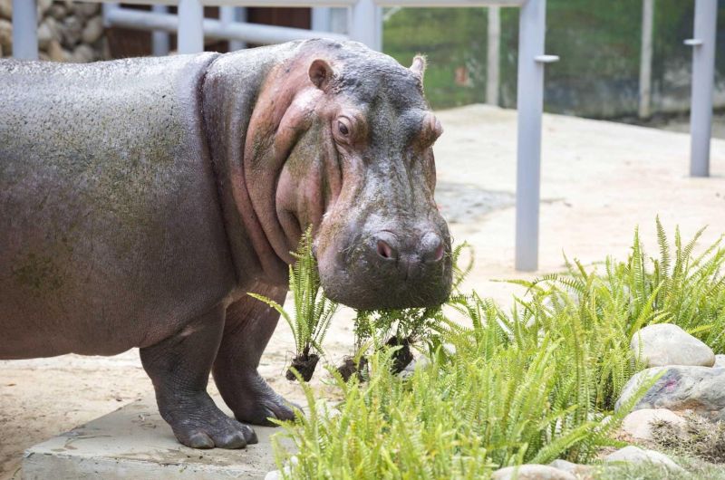 2026新竹人氣親子景點-新竹動物園全攻略